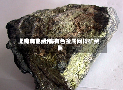 【镍现货费用
上海有色,上海有色金属网镍矿费用
】-第3张图片