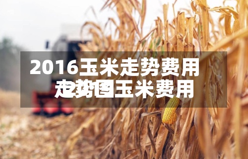 2016玉米走势费用
/2019玉米费用
走势图-第2张图片