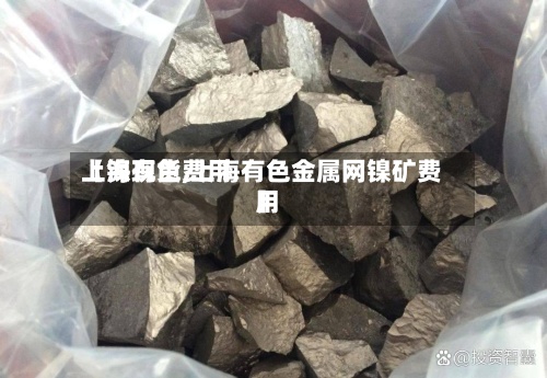 【镍现货费用
上海有色,上海有色金属网镍矿费用
】-第2张图片