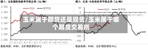 玉米属于期货还是现货/玉米属于哪个期货交易所