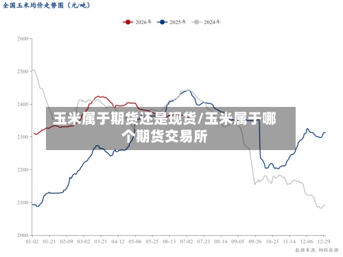 玉米属于期货还是现货/玉米属于哪个期货交易所-第3张图片