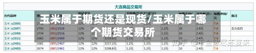 玉米属于期货还是现货/玉米属于哪个期货交易所-第2张图片