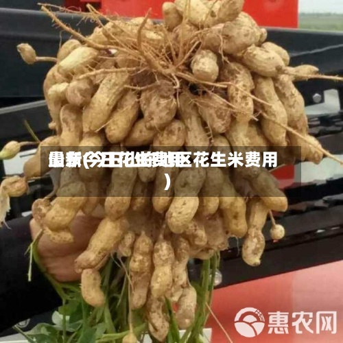山东今日花生费用
最新(今日山东地区花生米费用
)