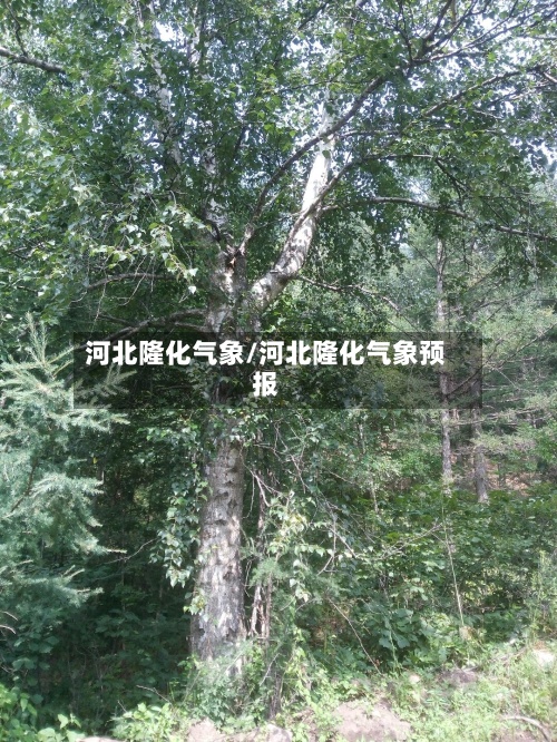 河北隆化气象/河北隆化气象预报