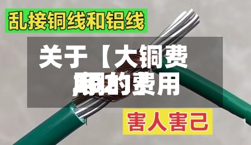 关于【大铜费用
,铜的费用
2021】
