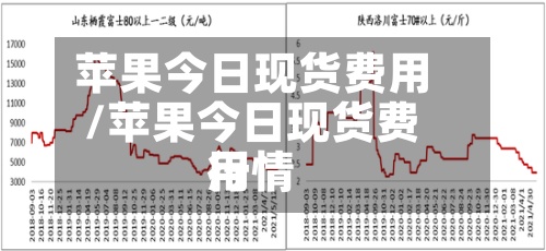 苹果今日现货费用
/苹果今日现货费用
行情