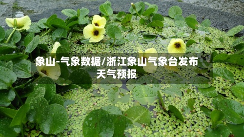 象山-气象数据/浙江象山气象台发布天气预报-第2张图片