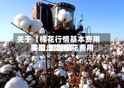 关于【棉花行情基本费用
美国,美国棉花费用
实时走势图】-第2张图片