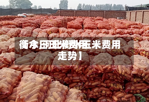 【今日玉米费用衡水,河北衡水玉米费用走势】-第2张图片