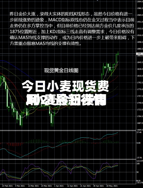 今日小麦现货费用/小麦今日费用2021最新行情