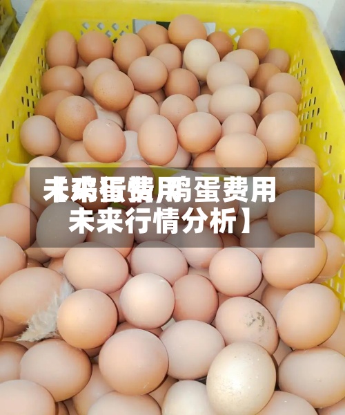 【鸡蛋费用
未来行情,鸡蛋费用
未来行情分析】-第2张图片