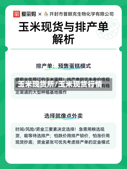 玉米现货所/玉米现货行情