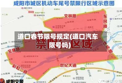 道口春节限号规定(道口汽车限号吗)-第2张图片