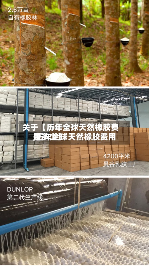 关于【历年全球天然橡胶费用
,历年全球天然橡胶费用
是多少】