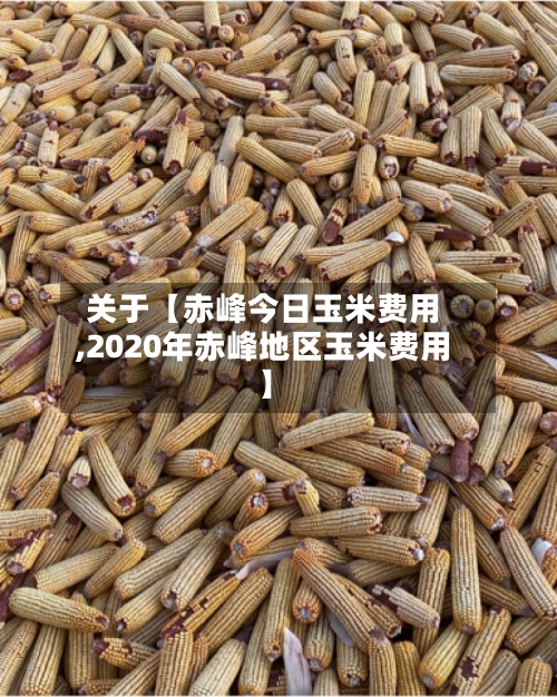 关于【赤峰今日玉米费用
,2020年赤峰地区玉米费用
】-第2张图片