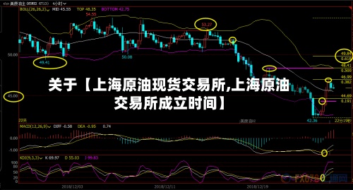 关于【上海原油现货交易所,上海原油交易所成立时间】-第2张图片