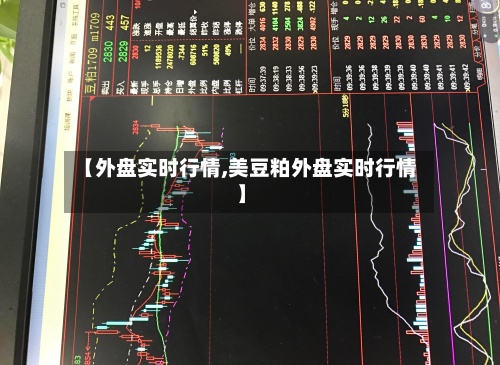 【外盘实时行情,美豆粕外盘实时行情】-第3张图片