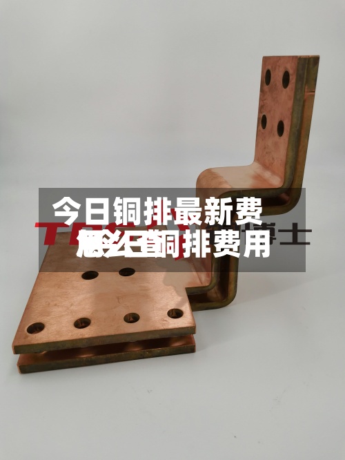 今日铜排最新费用
/今日铜排费用
怎么查-第3张图片