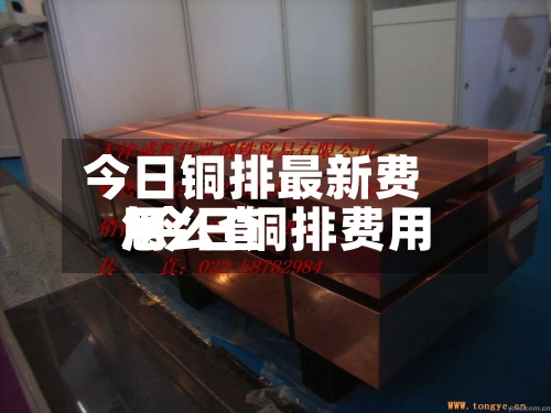今日铜排最新费用
/今日铜排费用
怎么查-第2张图片
