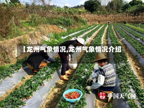 【龙州气象情况,龙州气象情况介绍】-第3张图片