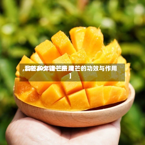 【2020年澳芒费用
,澳芒多少钱一斤 澳芒的功效与作用】-第3张图片
