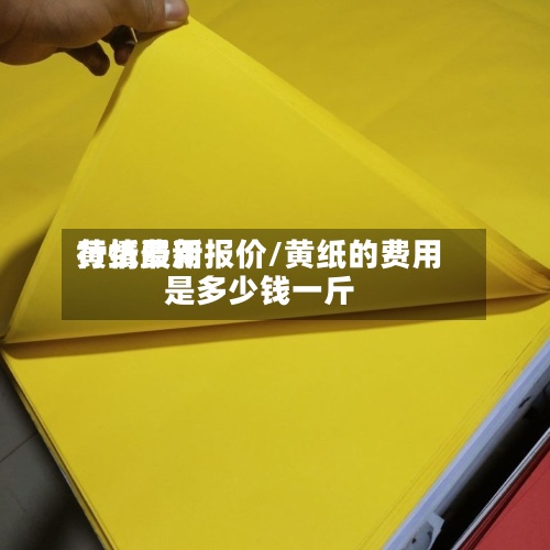 黄纸费用行情最新报价/黄纸的费用是多少钱一斤-第2张图片