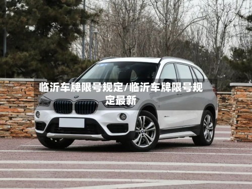 临沂车牌限号规定/临沂车牌限号规定最新-第3张图片