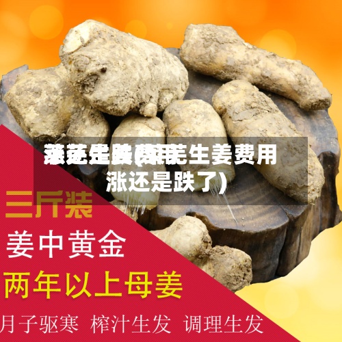 莱芜生姜费用
涨还是跌(莱芜生姜费用
涨还是跌了)