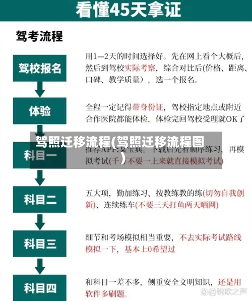 驾照迁移流程(驾照迁移流程图)