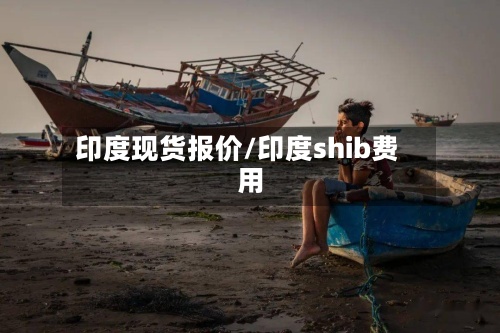 印度现货报价/印度shib费用
-第2张图片