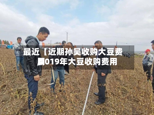 最近【近期孙吴收购大豆费用
,2019年大豆收购费用
】