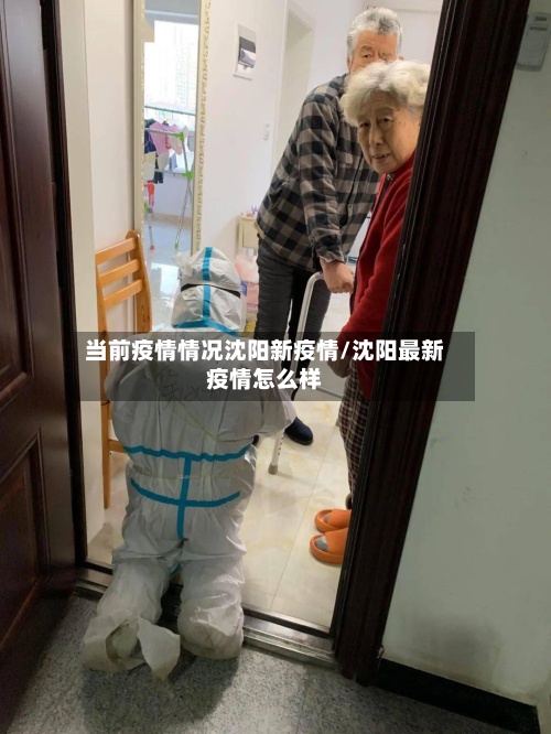 当前疫情情况沈阳新疫情/沈阳最新疫情怎么样-第3张图片