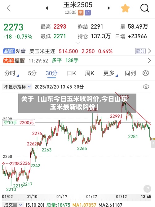 关于【山东今日玉米收购价,今日山东玉米最新收购价】-第2张图片