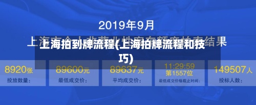 上海拍到牌流程(上海拍牌流程和技巧)