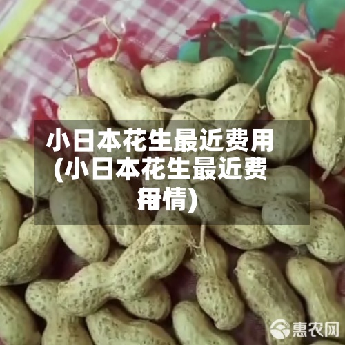 小日本花生最近费用
(小日本花生最近费用
行情)