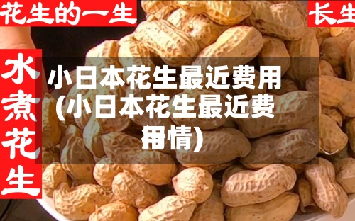 小日本花生最近费用
(小日本花生最近费用
行情)-第2张图片