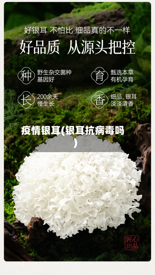疫情银耳(银耳抗病毒吗)