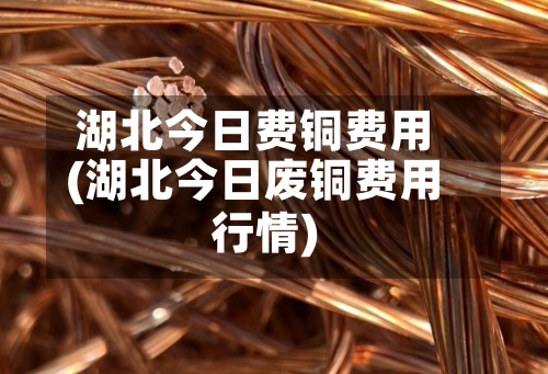 湖北今日费铜费用(湖北今日废铜费用行情)