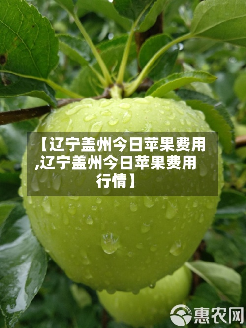 【辽宁盖州今日苹果费用,辽宁盖州今日苹果费用行情】-第3张图片