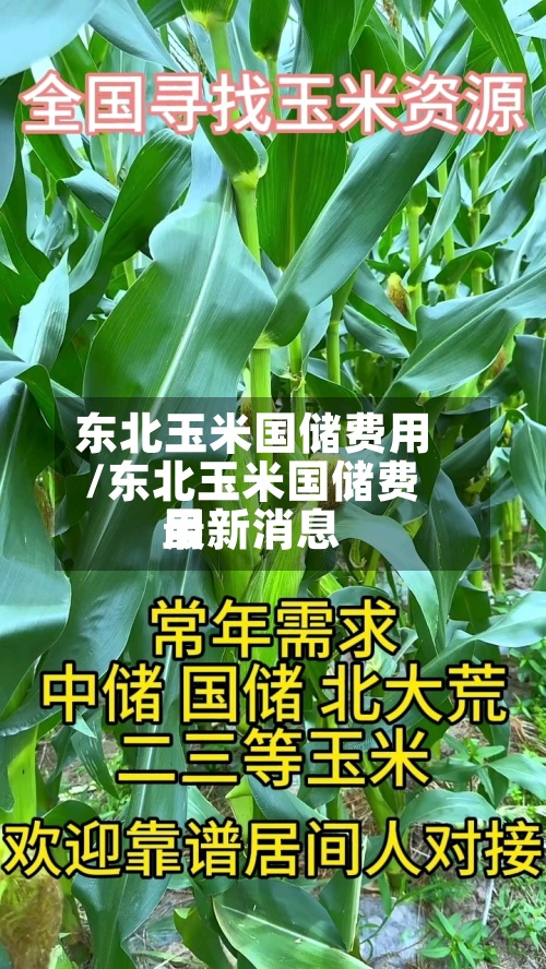 东北玉米国储费用
/东北玉米国储费用
最新消息
