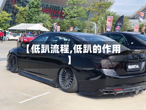 【低趴流程,低趴的作用】