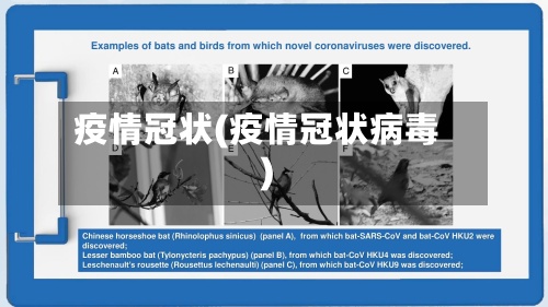 疫情冠状(疫情冠状病毒)-第2张图片