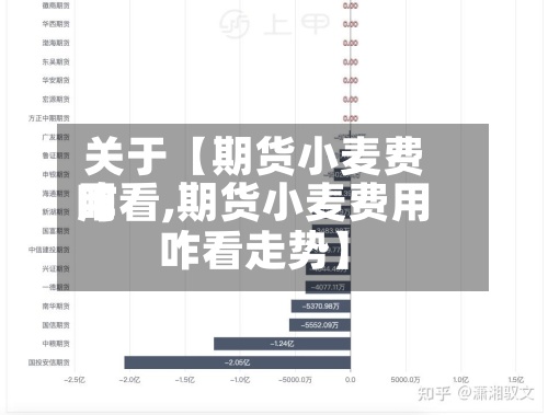 关于【期货小麦费用咋看,期货小麦费用咋看走势】