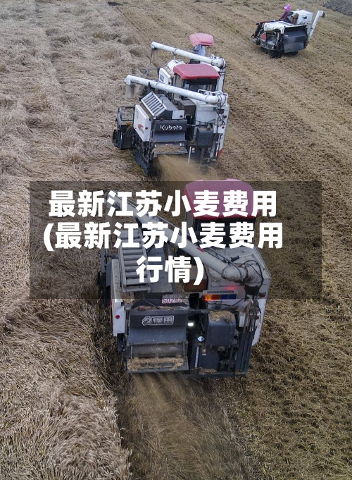 最新江苏小麦费用(最新江苏小麦费用行情)