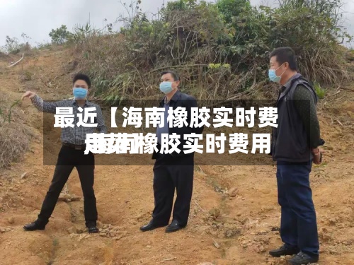 最近【海南橡胶实时费用
,海南橡胶实时费用
走势】