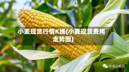 小麦现货行情K线(小麦现货费用走势图)
