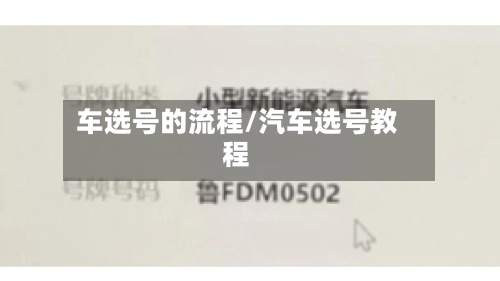 车选号的流程/汽车选号教程