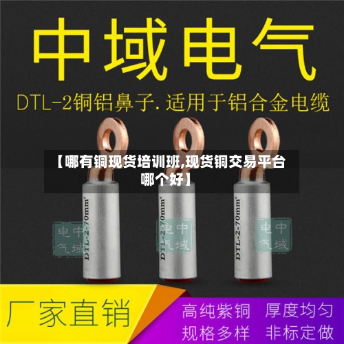 【哪有铜现货培训班,现货铜交易平台哪个好】-第2张图片