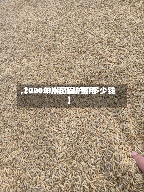 【2013水稻保护费用
,2020年水稻保护价多少钱】