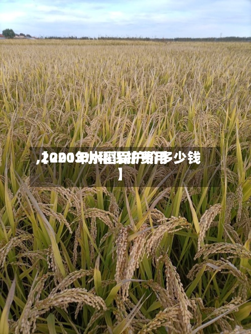 【2013水稻保护费用,2020年水稻保护价多少钱】-第2张图片
